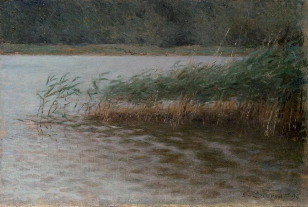 Paesaggio allo stagno
